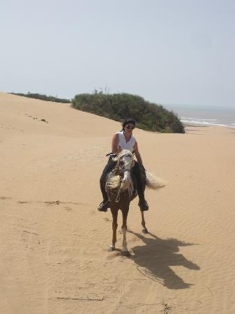 Zouina Cheval-索维拉必去景点