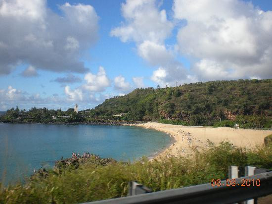 威美亚湾海滨公园-哈雷瓦必去景点