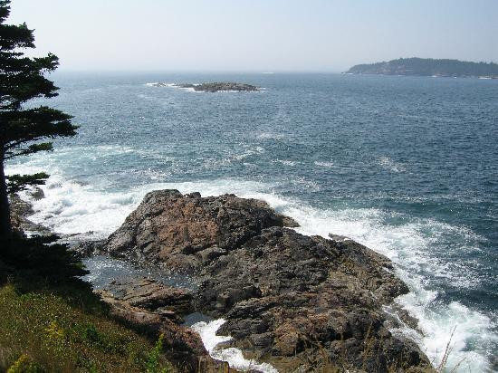 Great Head Trail景点图片