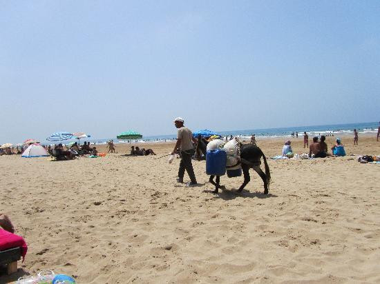 Paradise Beach Kaf Lahmam景点图片