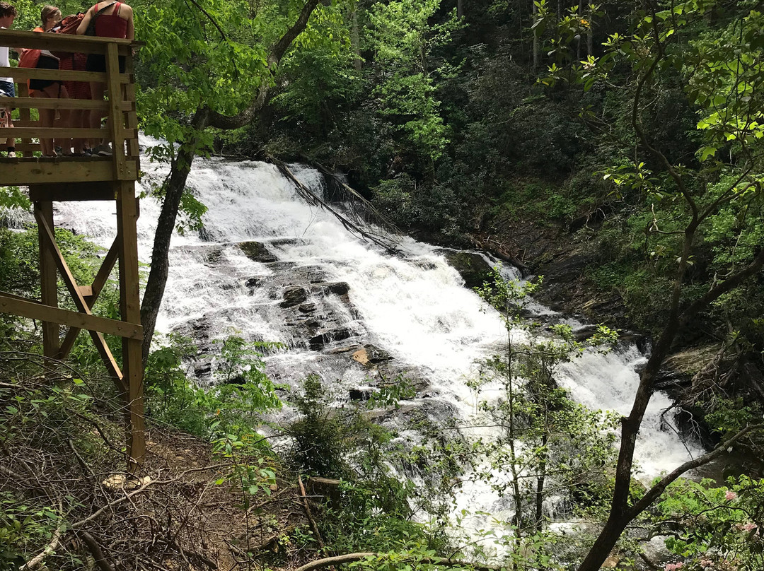 Brasstown Falls景点图片