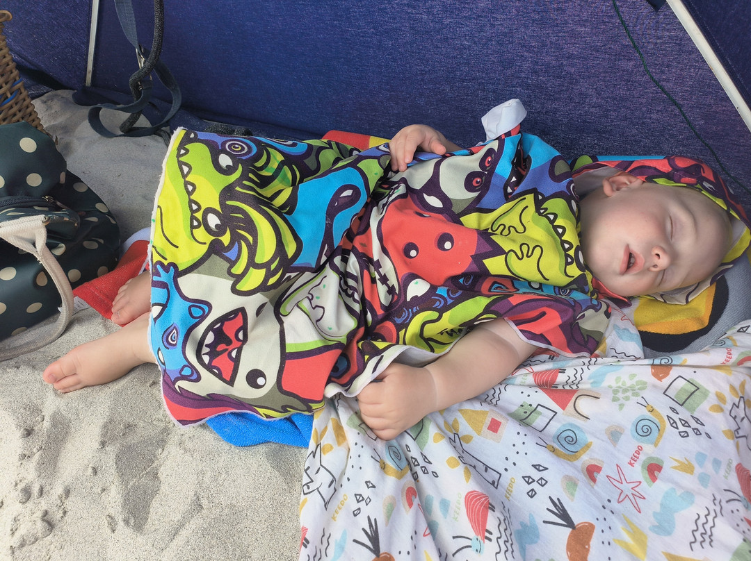 Honingklip Equestrian-Botrivier必去景点