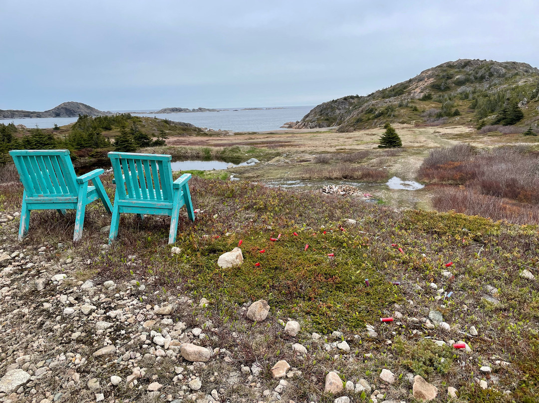 Twillingate Islands Coastal Trails景点图片