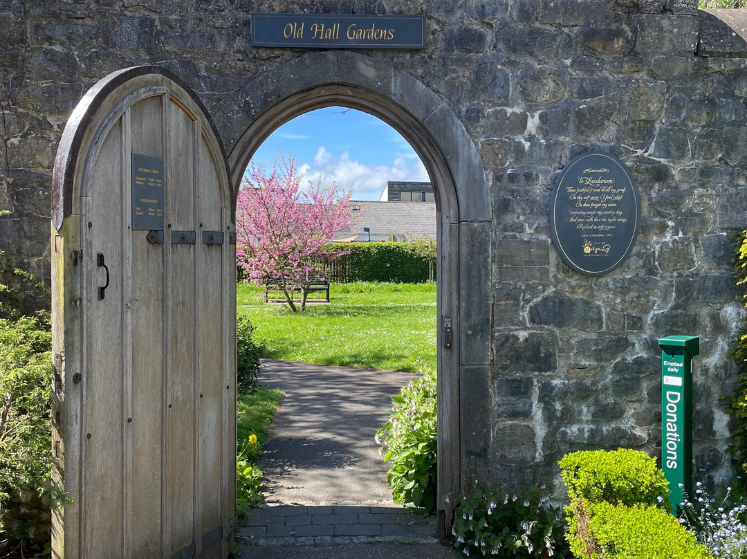 Cowbridge Physic Garden景点图片