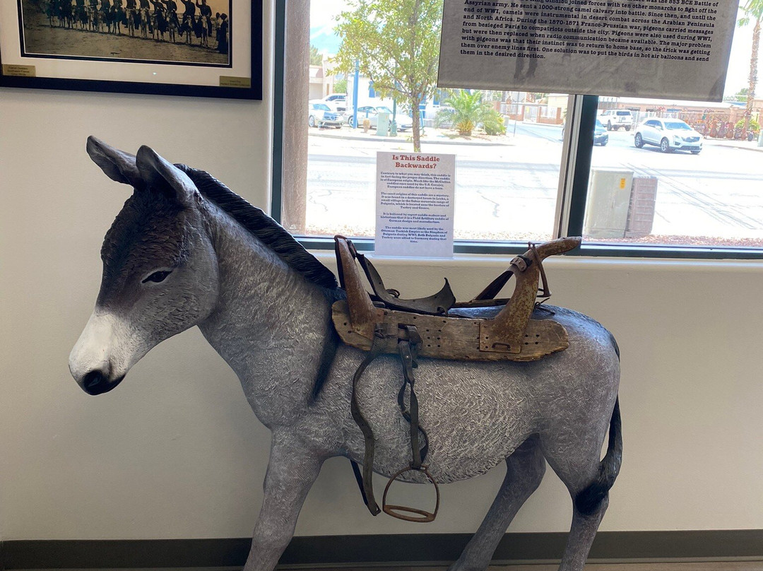 Donkey History Museum景点图片
