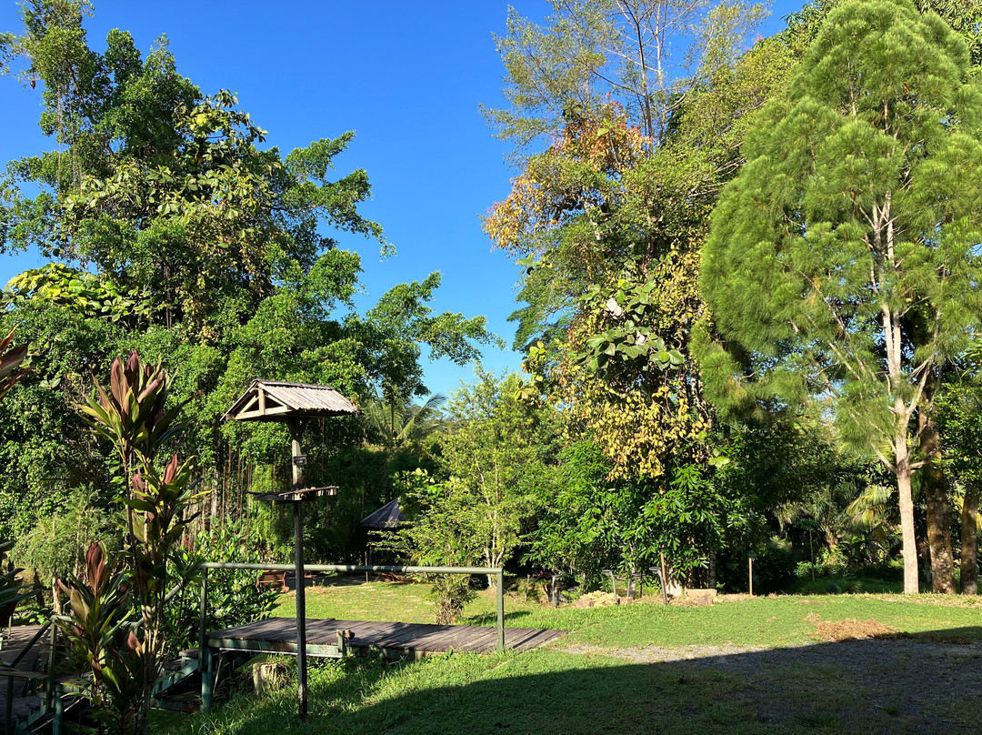 Sepilok Forest Edge Resort主图