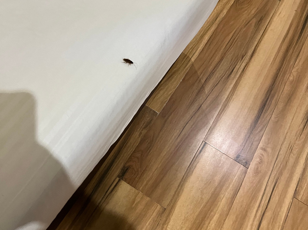 Antariksh Retreat主图