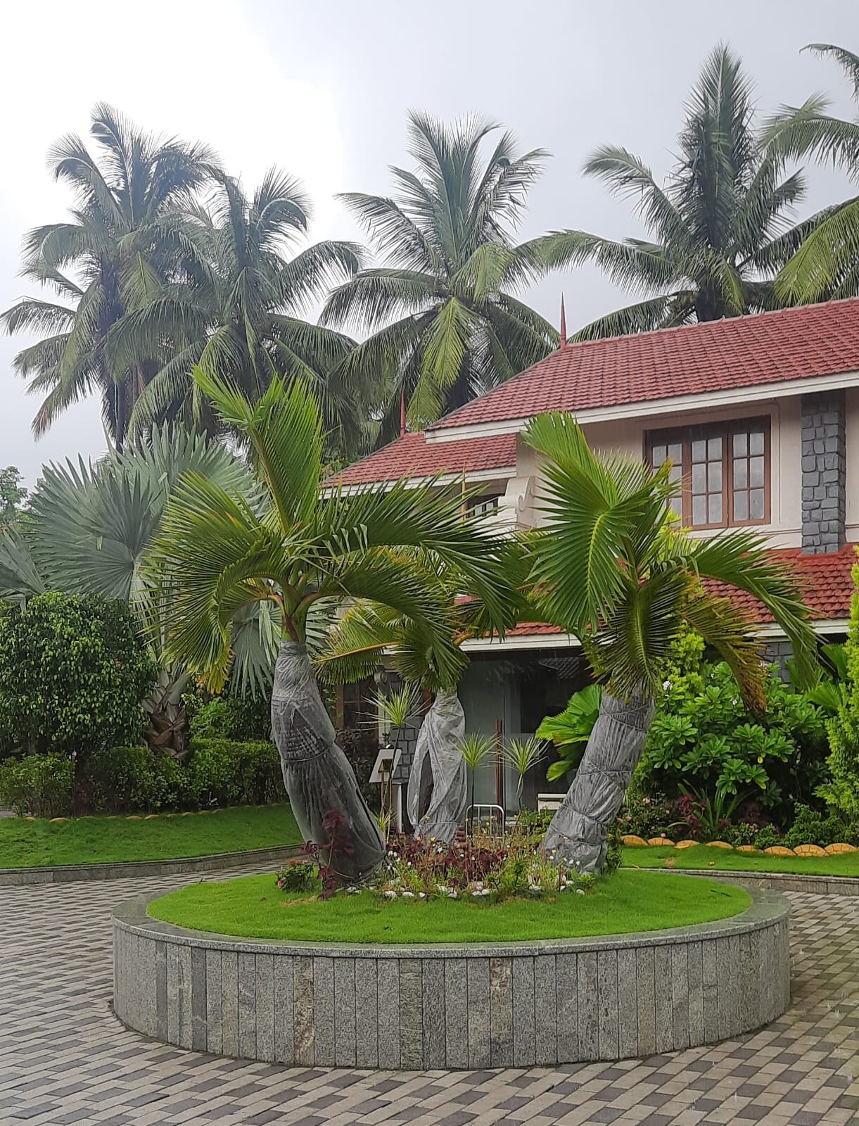 Treat Beach Resort & Spa-浴室