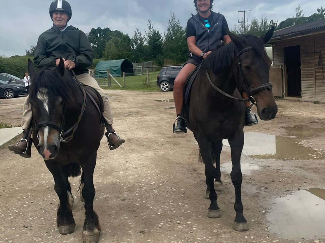 Bourton Vale Equestrian Centre景点图片