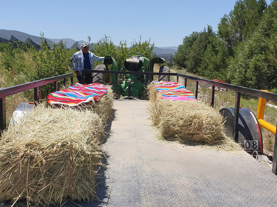 Huerta Los Balcones-San Antonio Las Alazanas必去景点