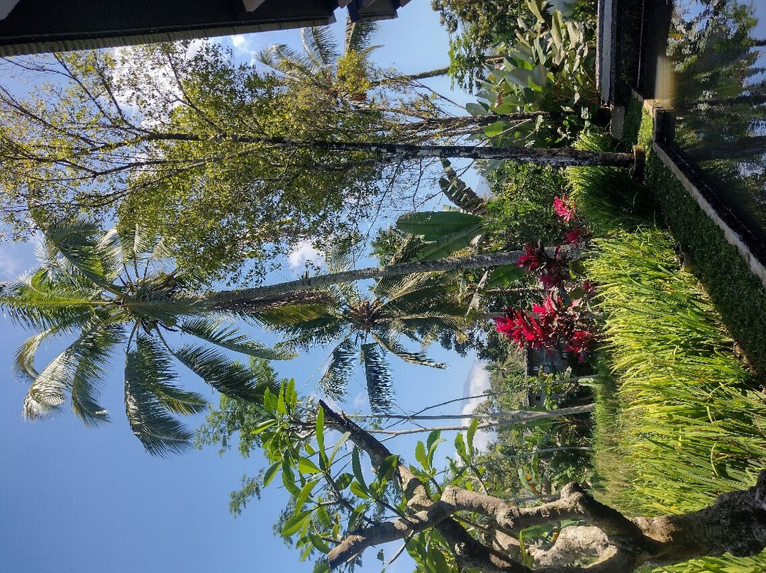 Licin酒店住宿-Teras Hotel Ijen Banyuwangi