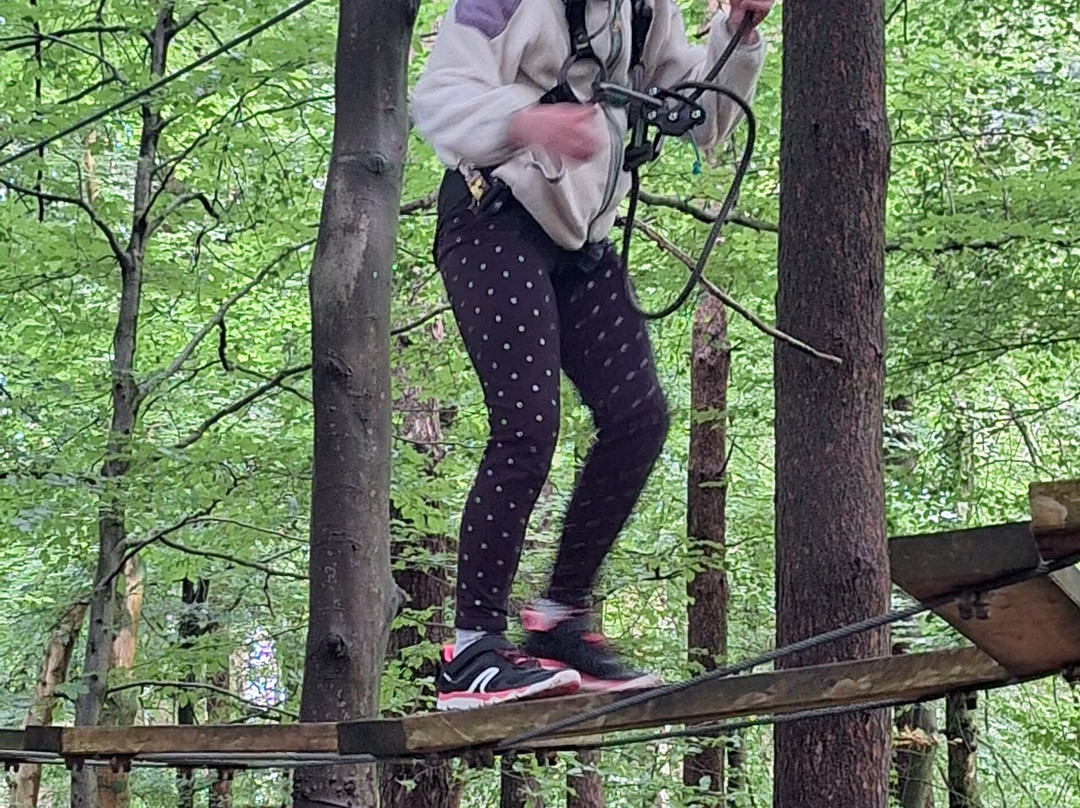 Craufurdland Tree Top Trials and Activities景点图片