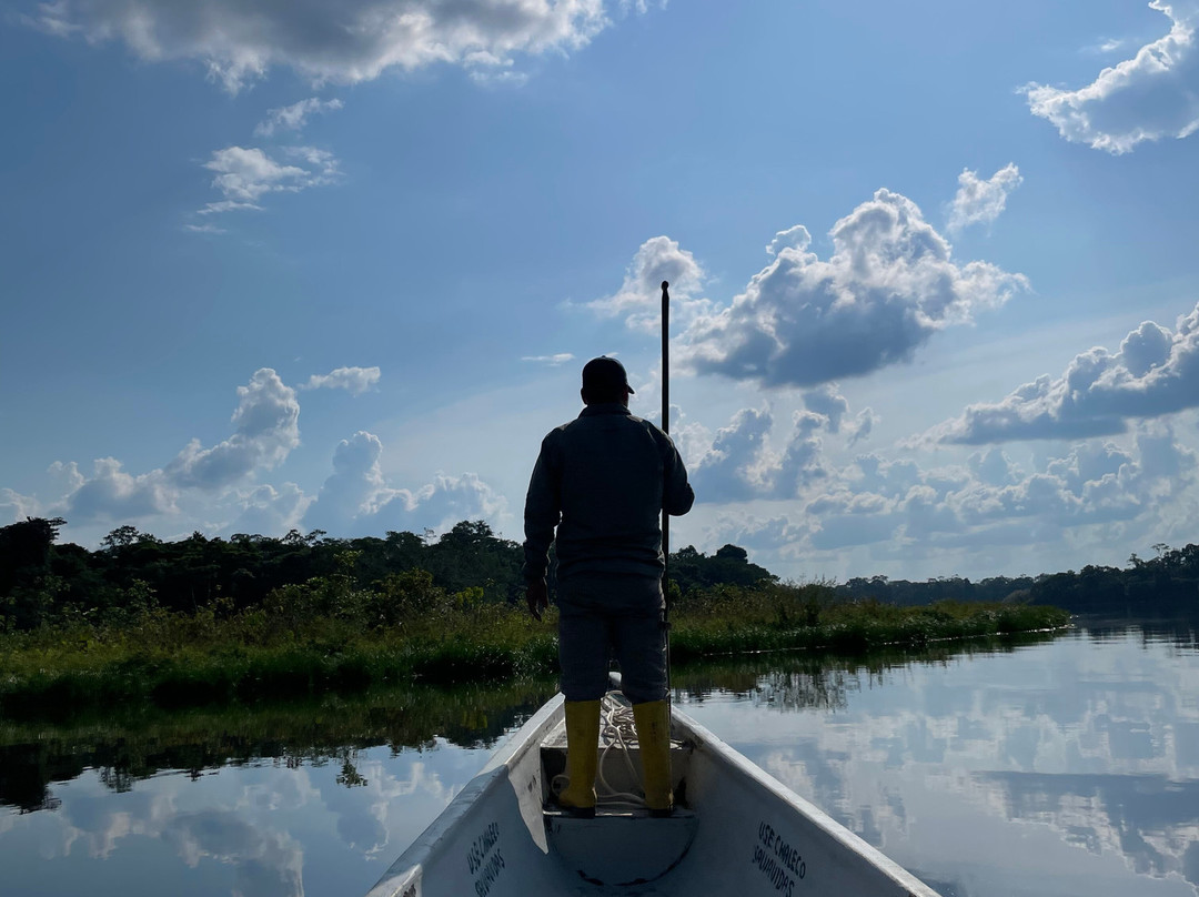 Parque Nacional del Yasuni - Fernando guia en la Amazonia景点图片