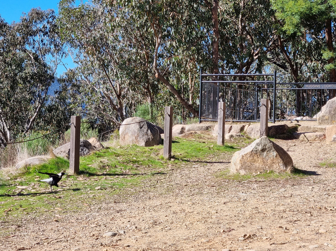 Huggins Lookout-布赖特必去景点