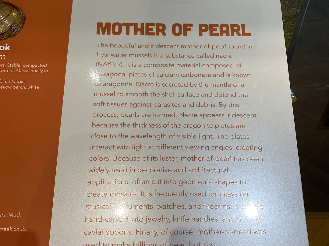 National Pearl Button Museum景点图片