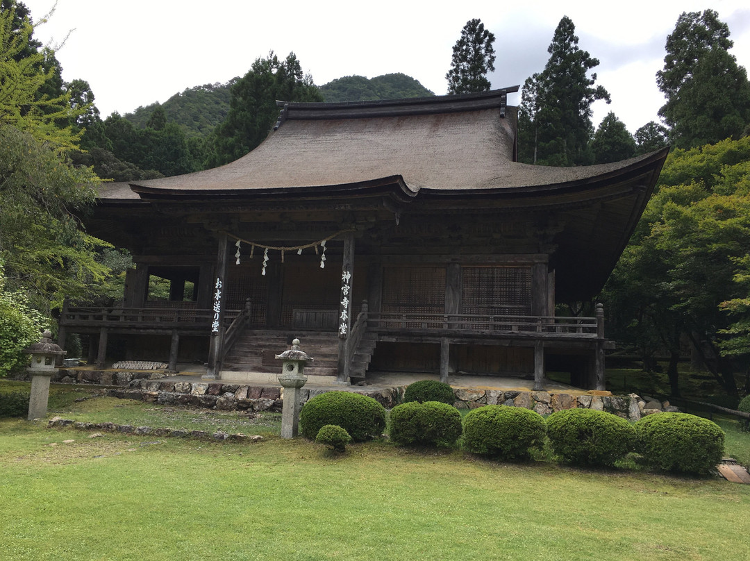 Jinguji Temple-小滨市必去景点