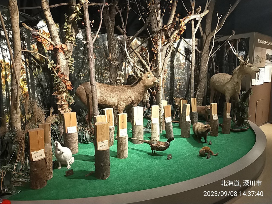 Chippubetsucho Folk Museum-秩父别町必去景点