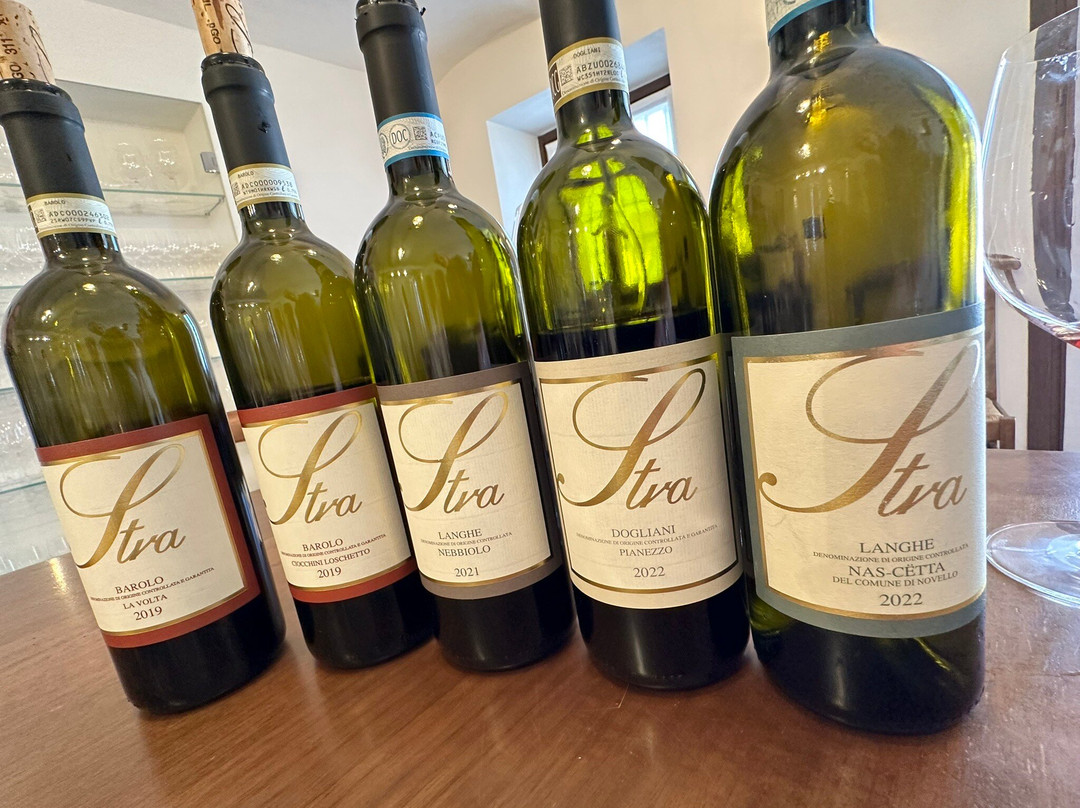 Langa Wine Tour-阿尔巴必去景点