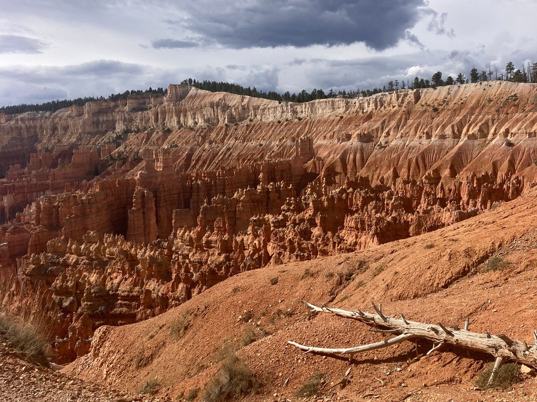 Queen's Garden Trail-布莱斯峡谷国家公园必去景点
