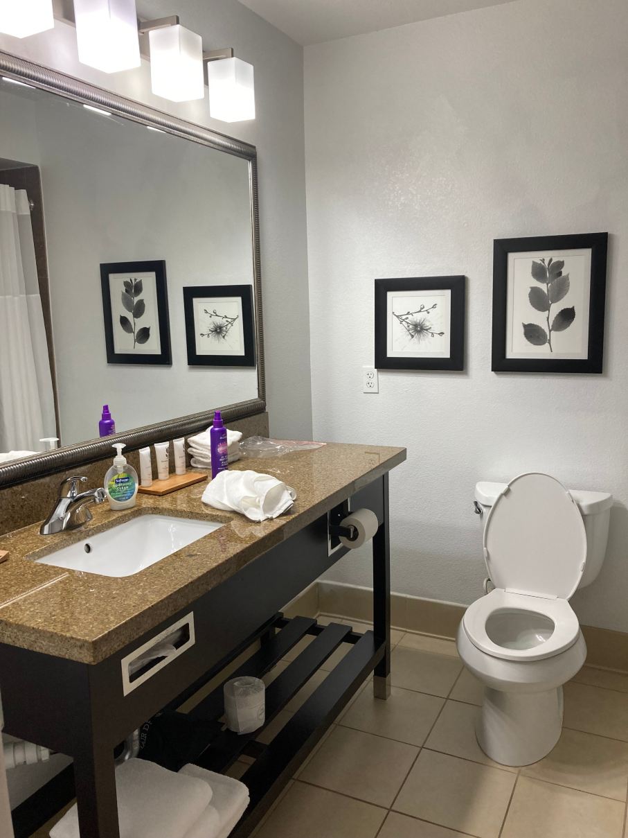 丽笙乡村套房酒店-位于佛罗里达州布雷登顿-莱克伍德牧场-浴室