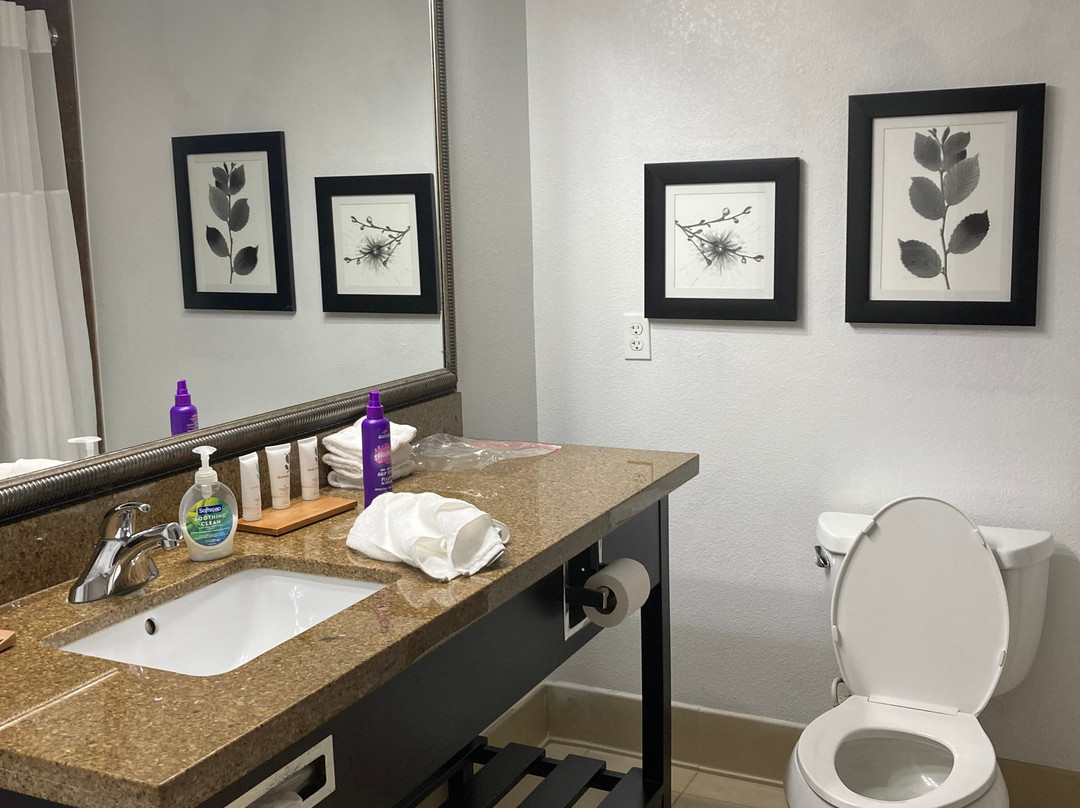 Country Inn & Suites by Radisson, Bradenton-Lakewood Ranch, FL主图