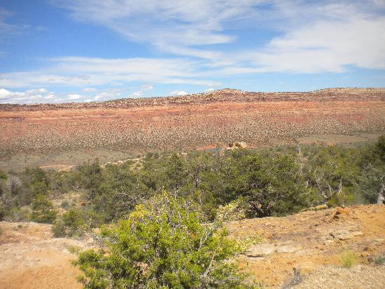 Comb Ridge-布拉夫必去景点