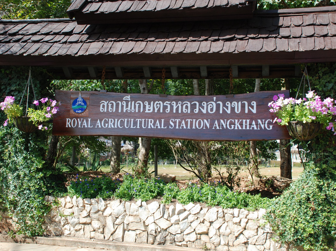 The Royal Agricultural Station Angkhang-芳县必去景点