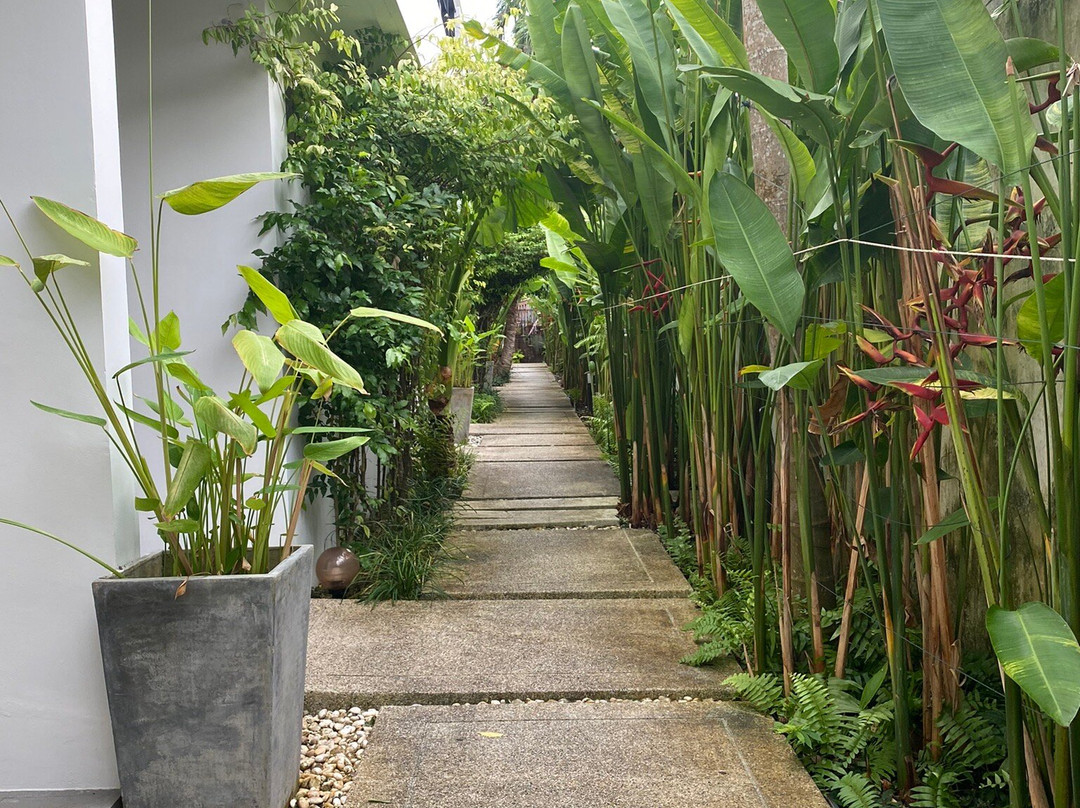 Tea Tree Boutique Resort主图