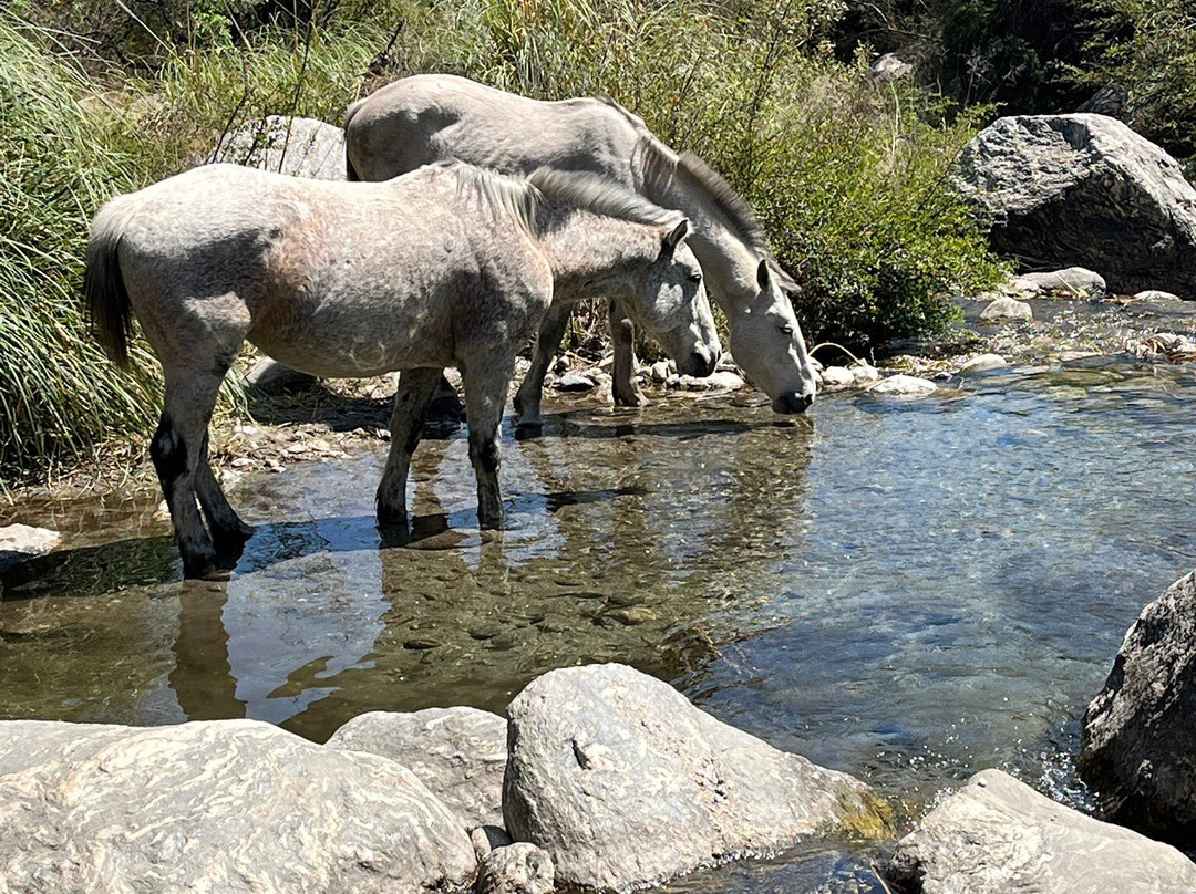 La Teresita Posada主图