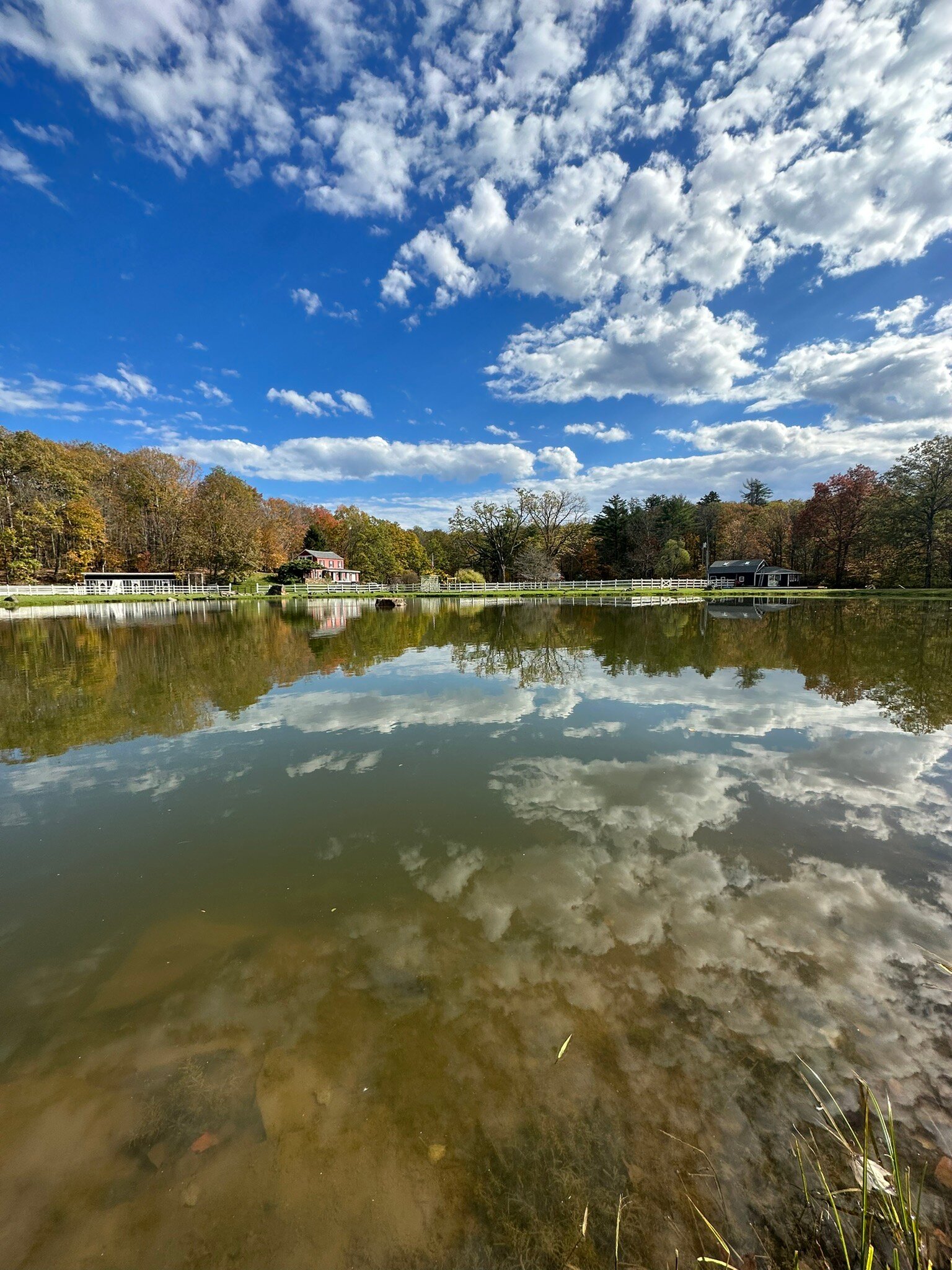 The Kaaterskill-官方