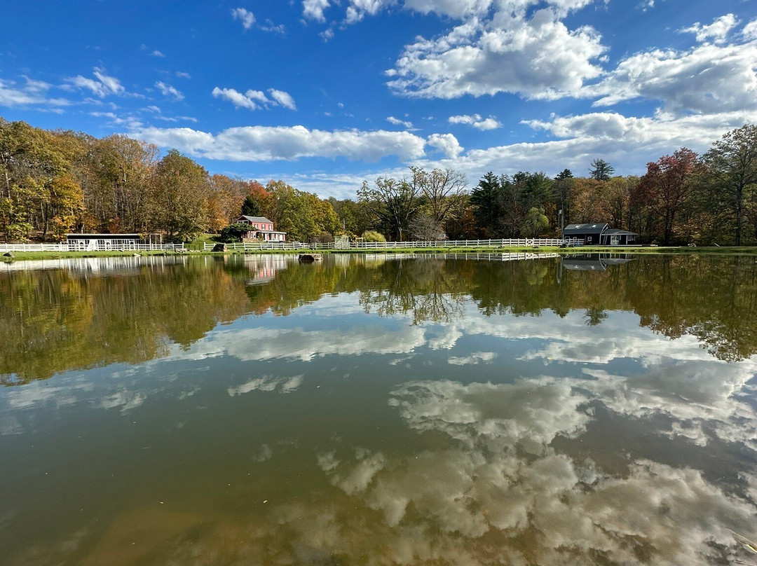 The Kaaterskill主图