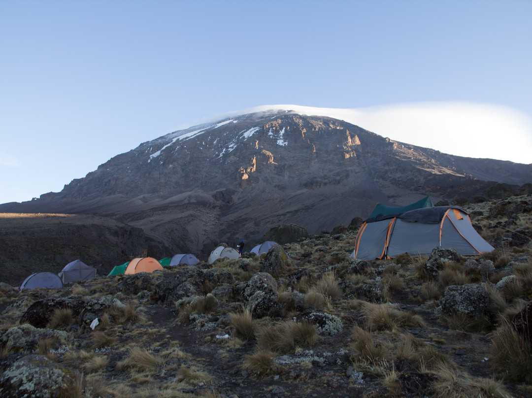 Shimboni Africa-莫西必去景点