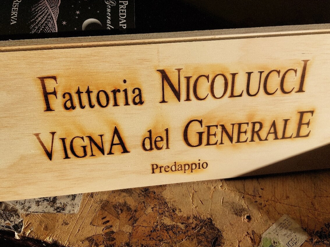 Fattoria Nicolucci景点图片