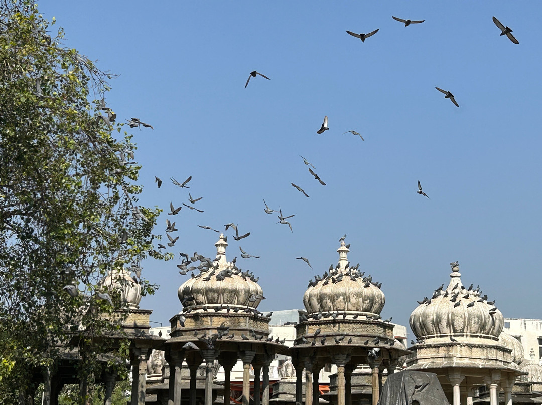 Ahar Cenotaphs-乌代布尔必去景点