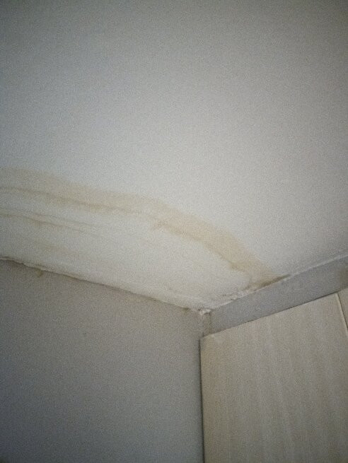 Ruslamere Hotel & Conference Centre主图