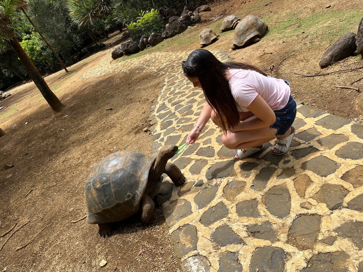 伯恩特别墅酒店-官方