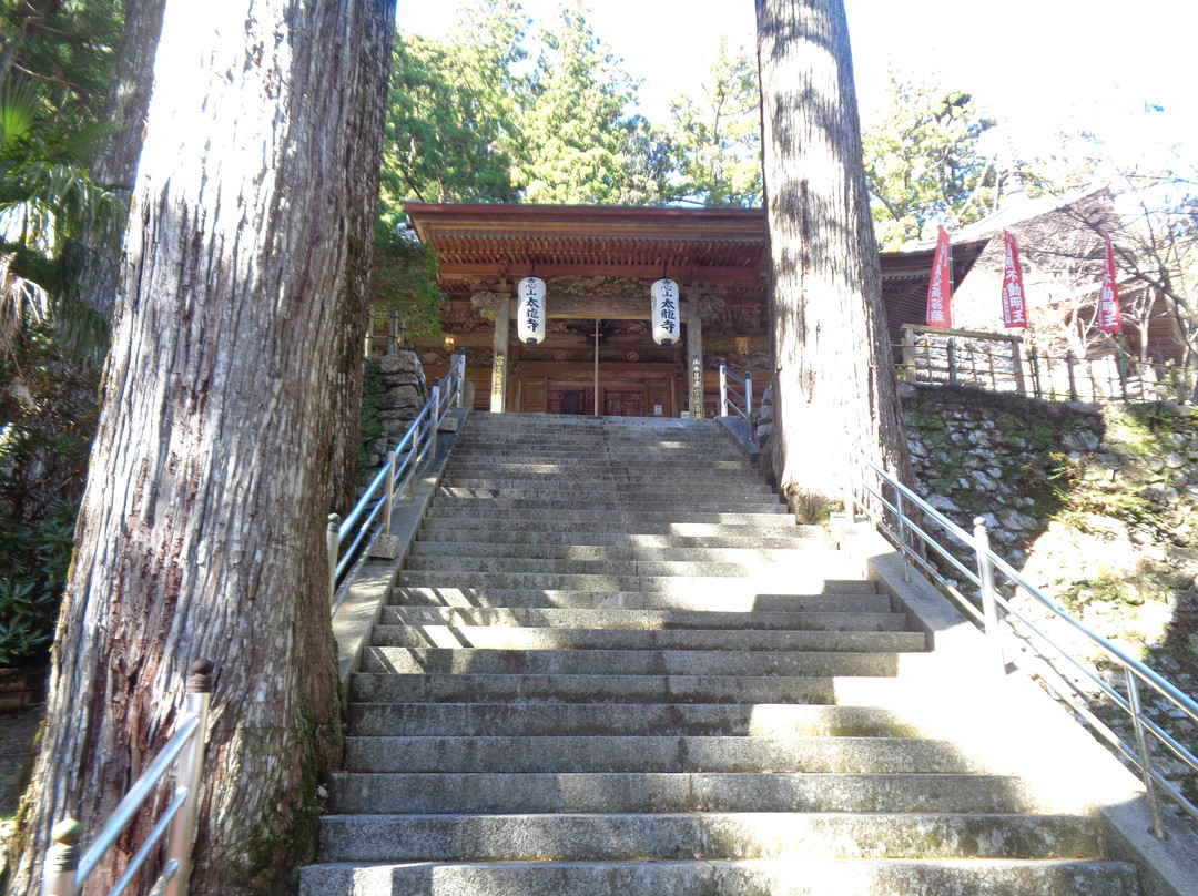 Tairyuji Temple-阿南市必去景点