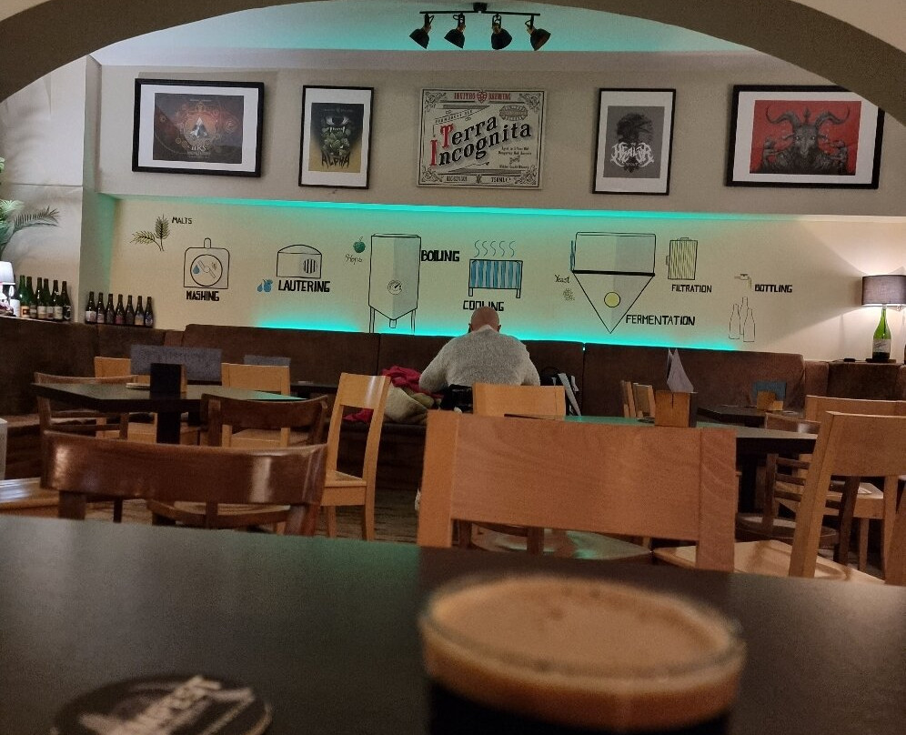 Invitro Beerbar景点图片