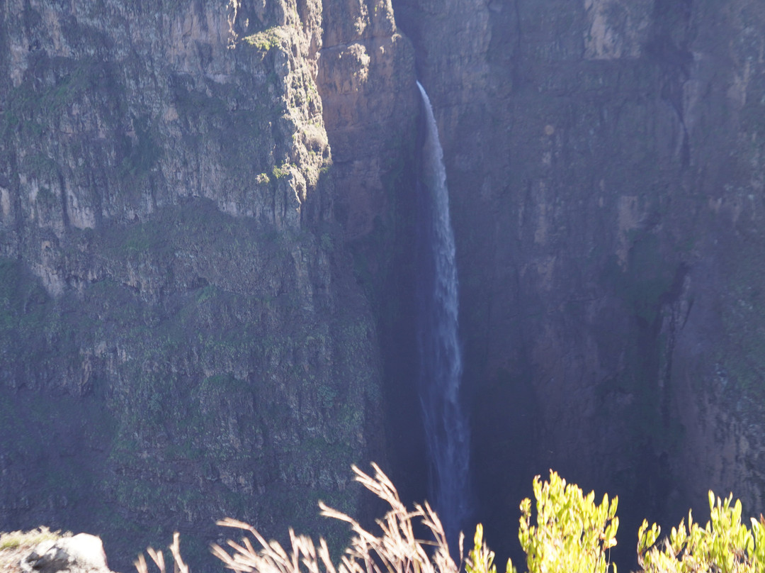 Simien Mountain Tours景点图片