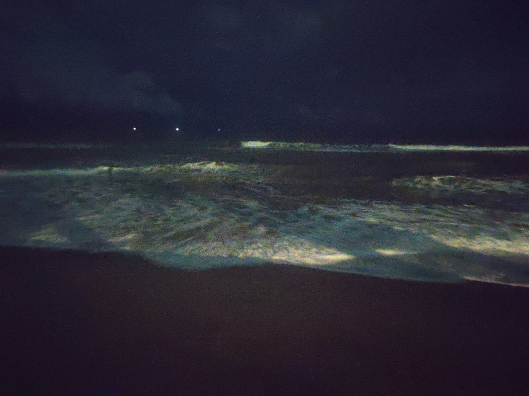 Shelter Beach Resort主图