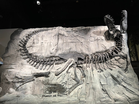 Hammerhead Scenic Tours-卡尔加里必去景点