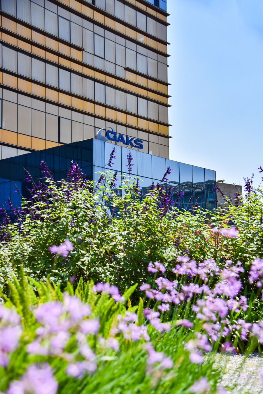 成都非遗博览园盛橡酒店-浴室