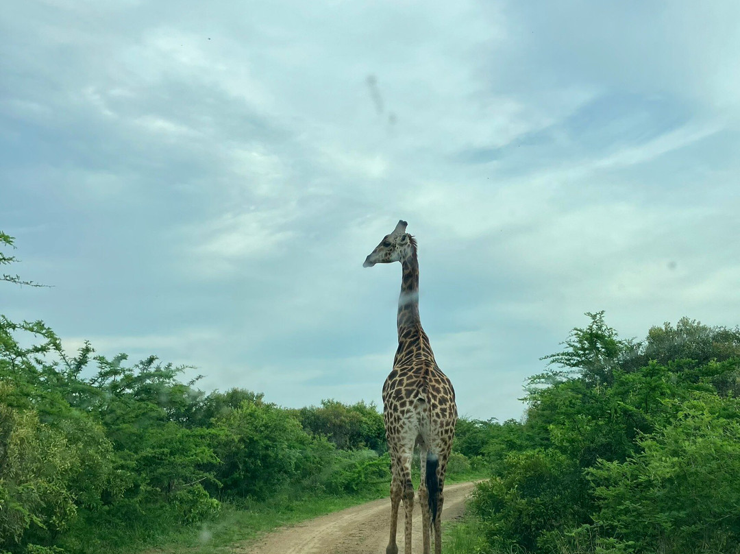 Durban Safaris and Tours景点图片