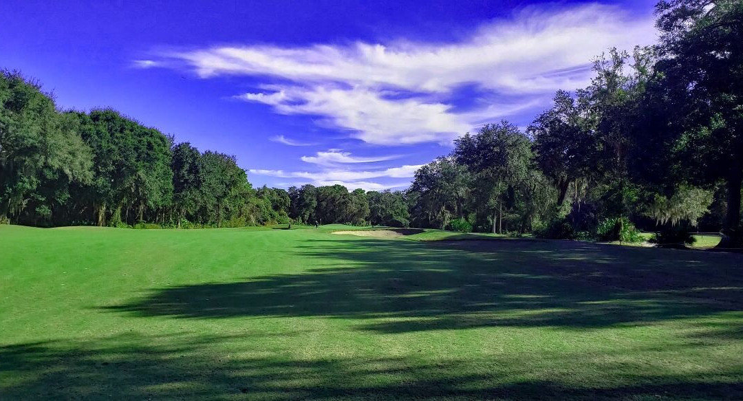 Amelia River Golf Club景点图片