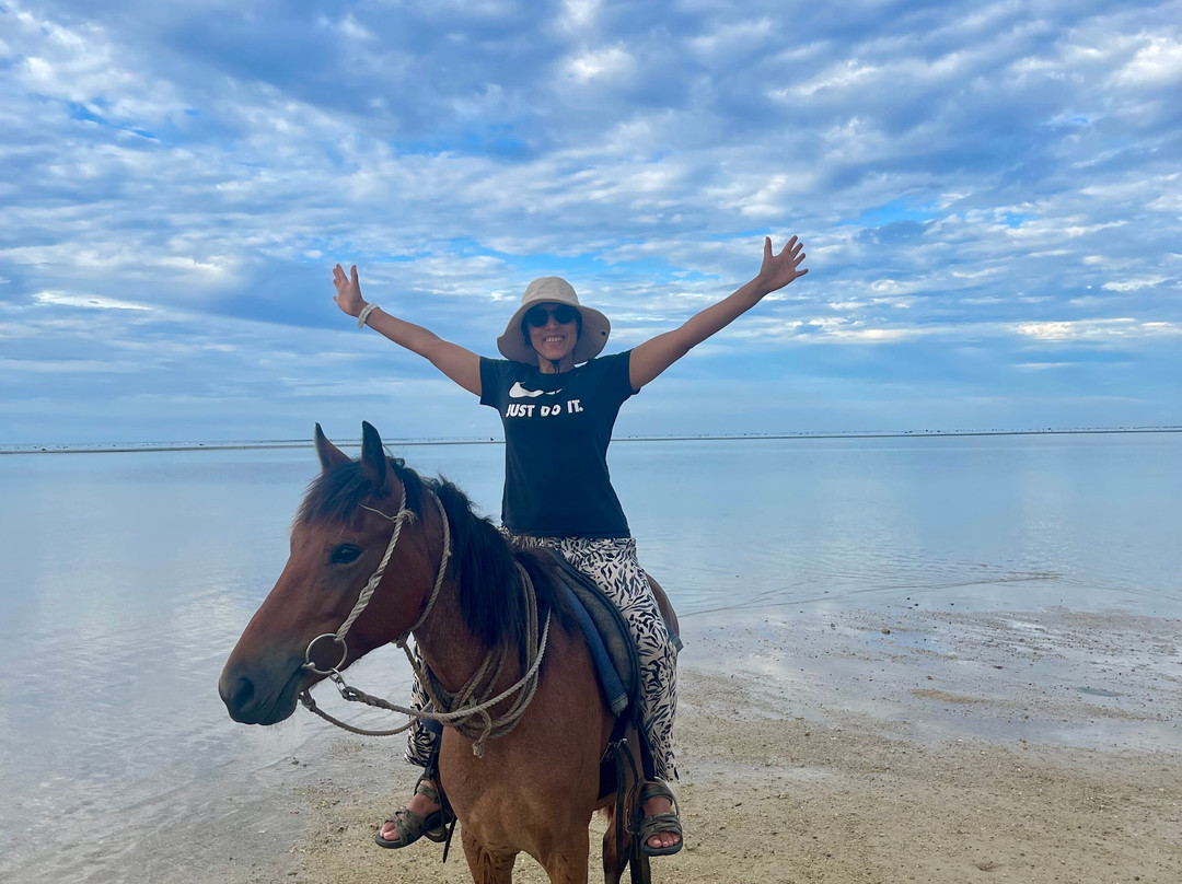 Maui Bay Horse Riding Adventure-苏瓦必去景点