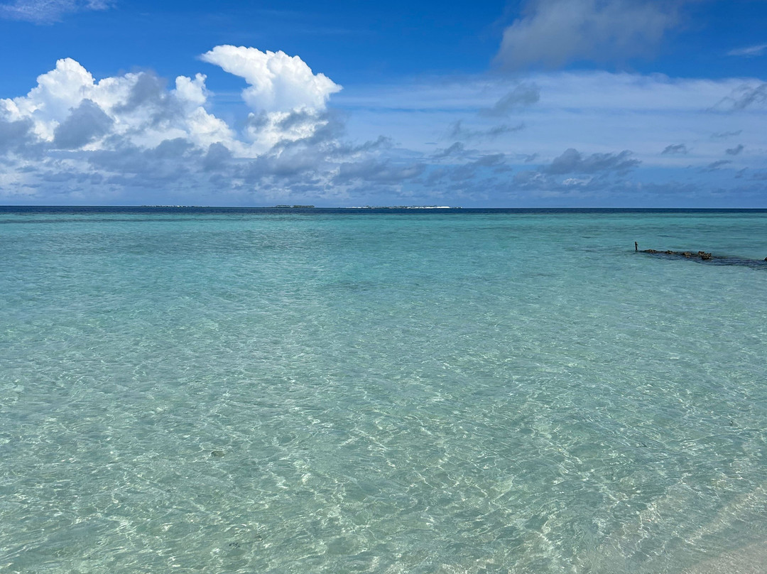 麦特楼住宿加早餐旅馆主图