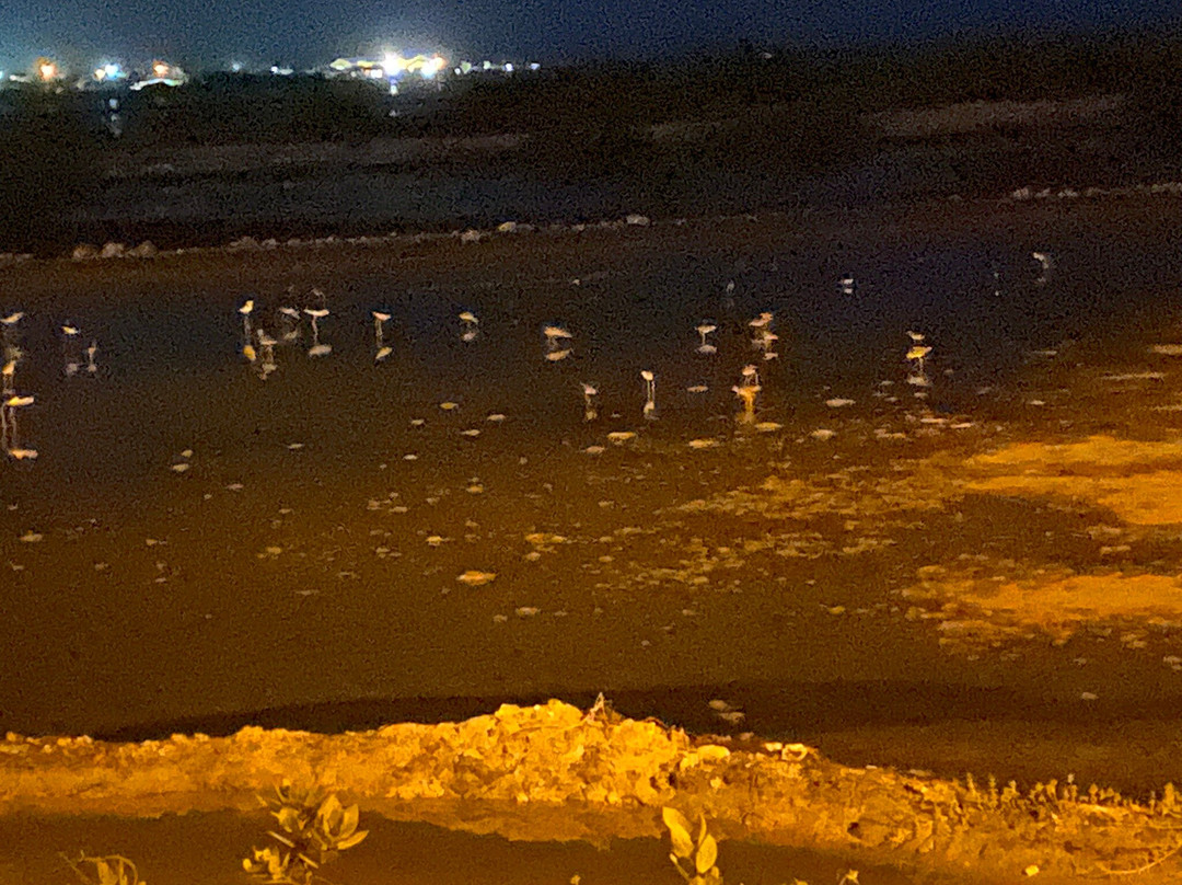 The Boiling Hole-South Caicos必去景点