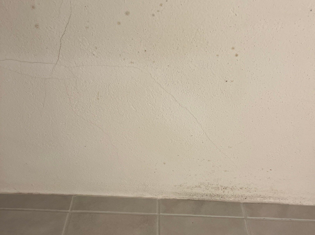 Hotel de la Foret主图