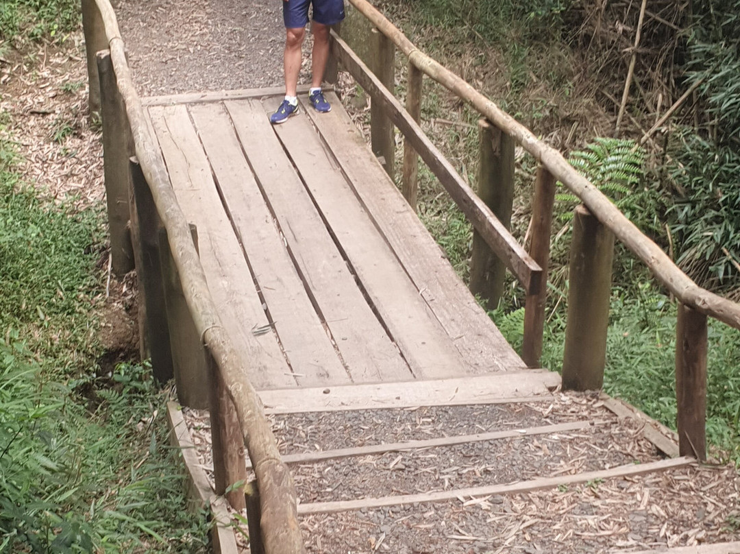 Monumento Natural Salto Sao Joao-Prudentopolis必去景点