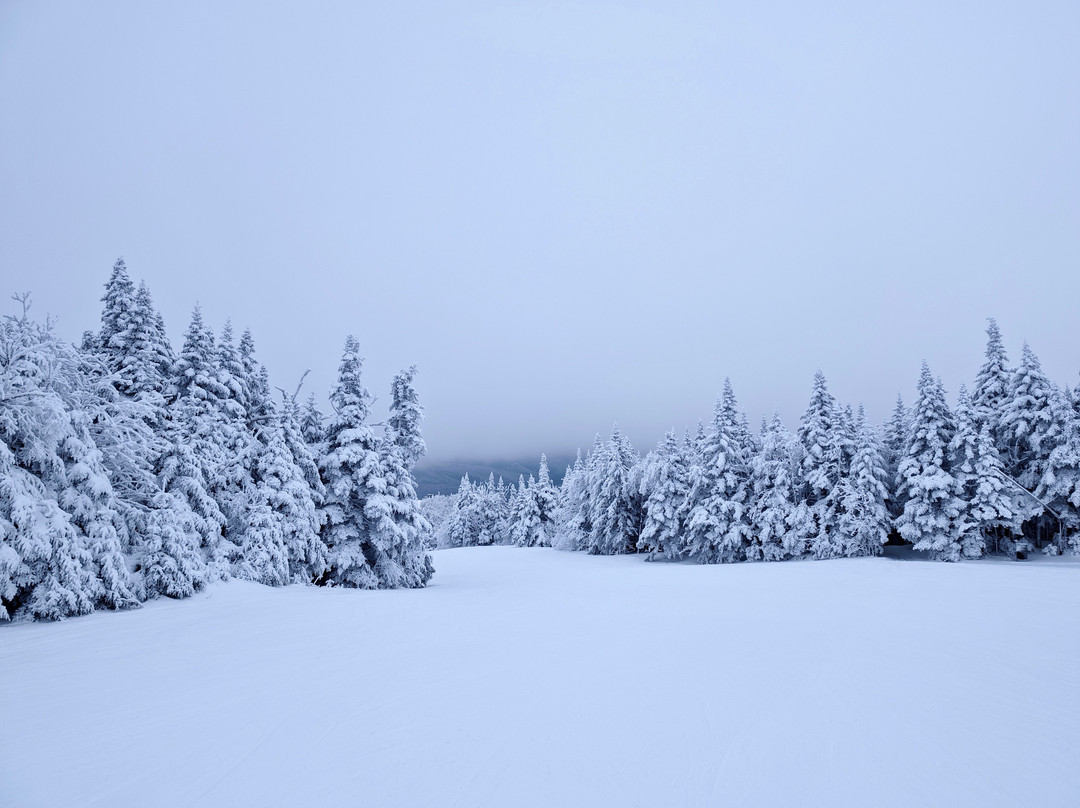 K1 Express gondola-基灵顿必去景点
